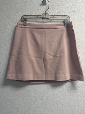 Express Soft Blush A-Line Mini Skirt 10